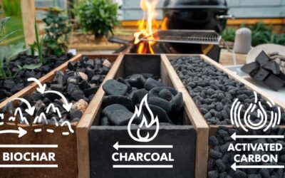 Biochar, carbone o carbone attivo: le differenze