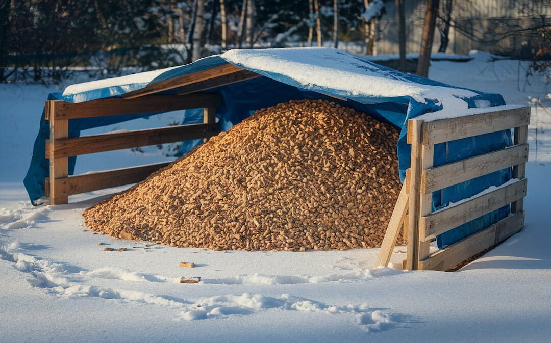 Come Conservare il Pellet per Preservarne la Qualità