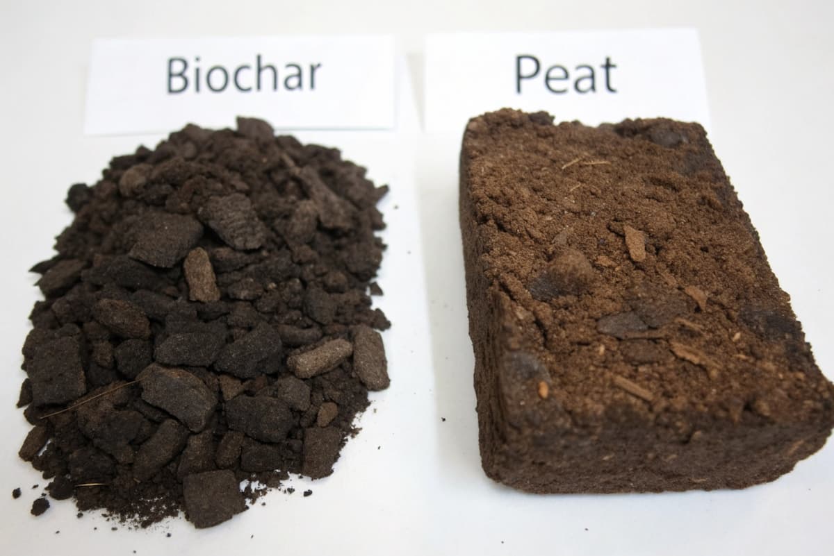 biochar in alternativa alla torba